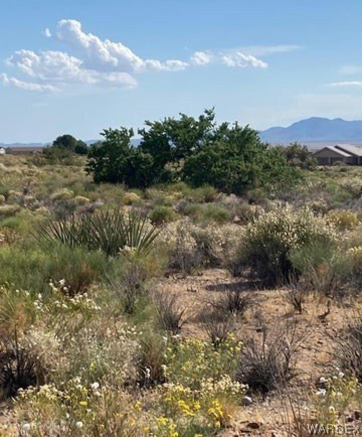 Picture of Residential Land For Sale in Kingman, Arizona, United States