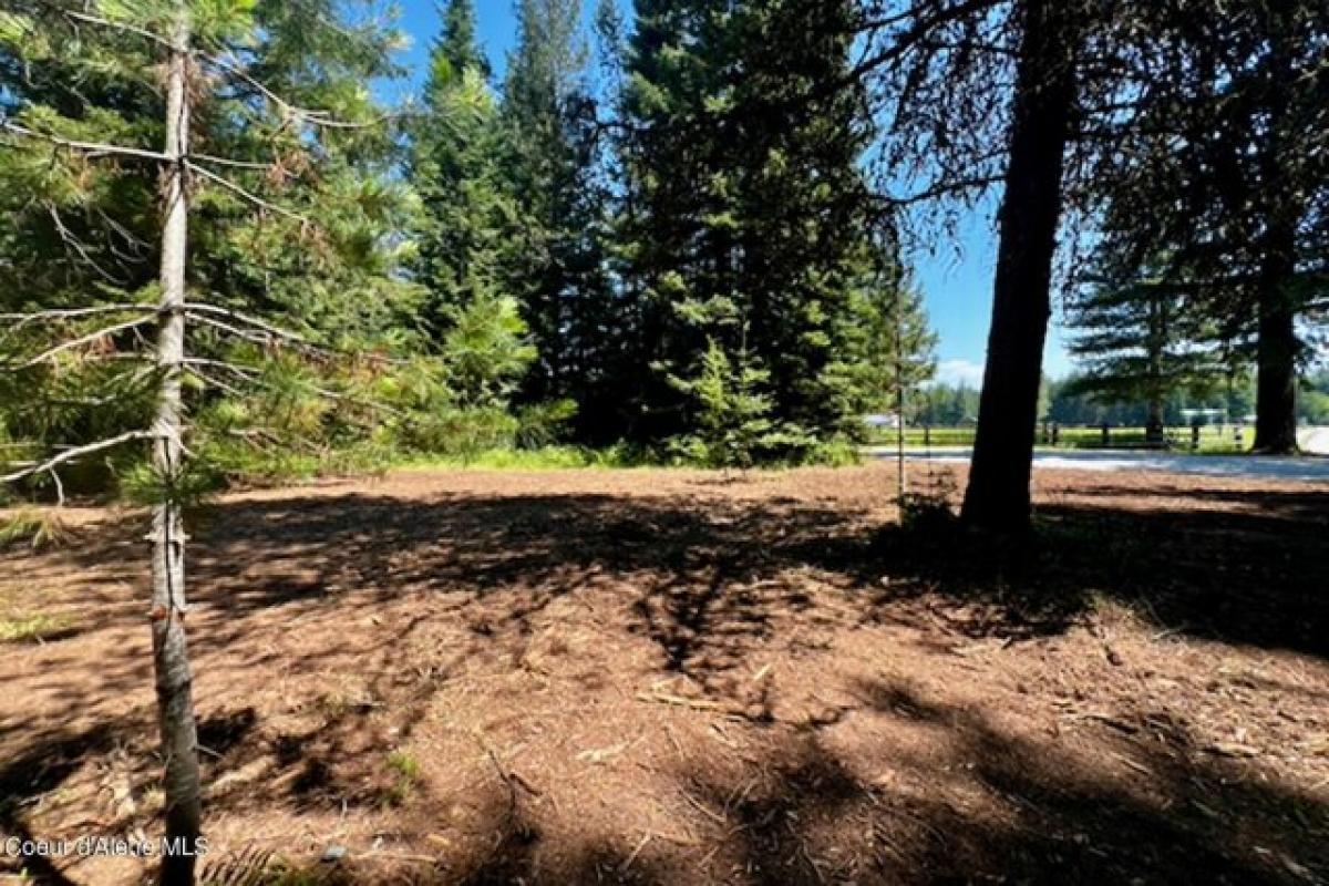 Picture of Residential Land For Sale in Sandpoint, Idaho, United States