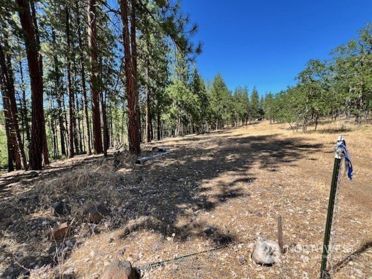 Picture of Residential Land For Sale in Goldendale, Washington, United States