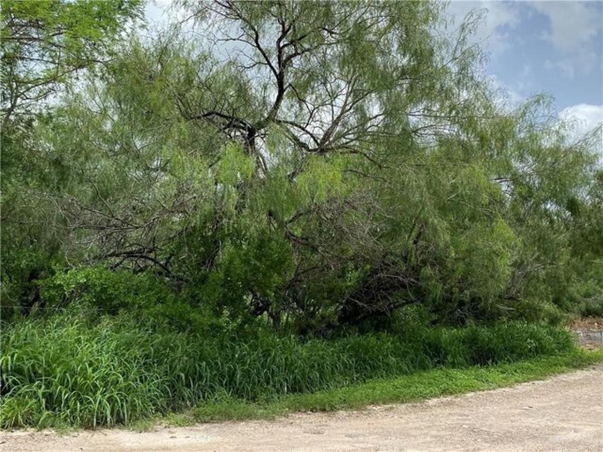 Picture of Residential Land For Sale in Edinburg, Texas, United States
