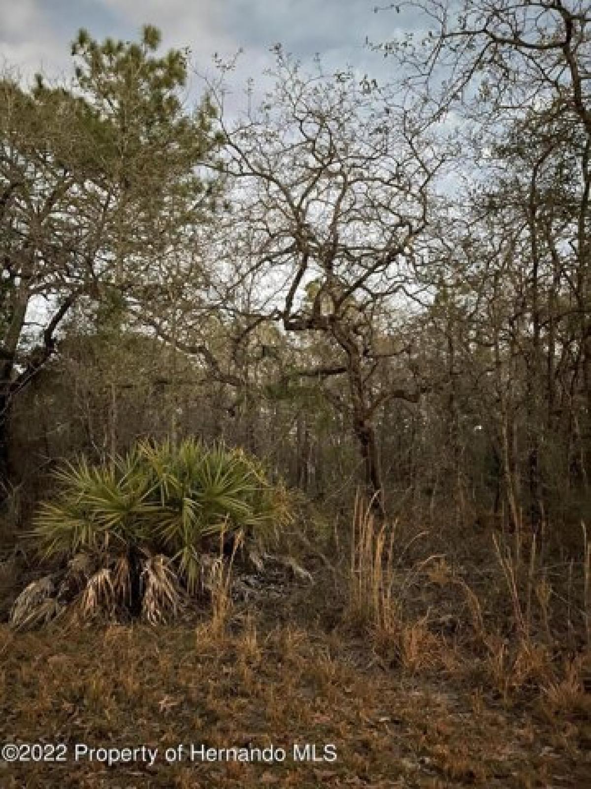 Picture of Residential Land For Sale in Weeki Wachee, Florida, United States