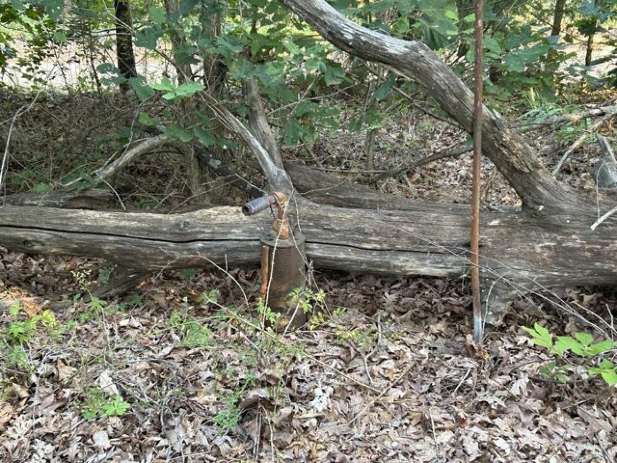 Picture of Residential Land For Rent in Washburn, Missouri, United States