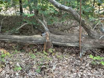 Residential Land For Rent in Washburn, Missouri