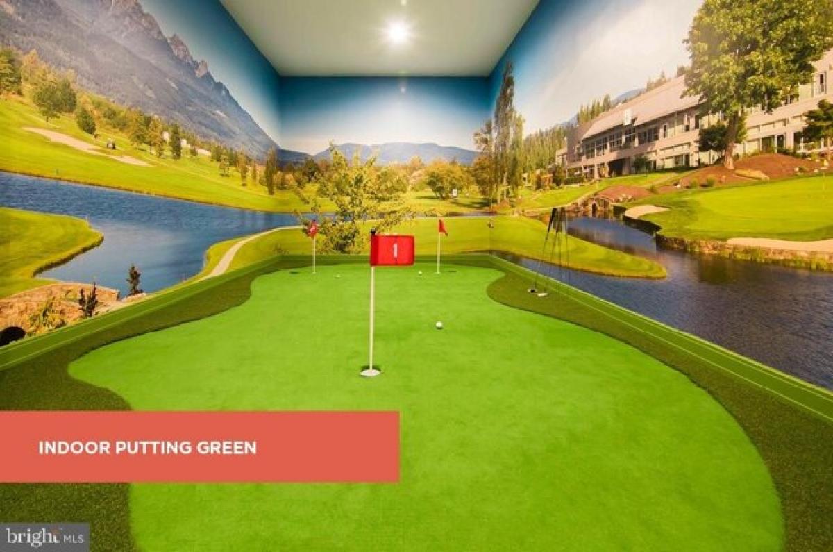 Picture of Apartment For Rent in Baltimore, Maryland, United States