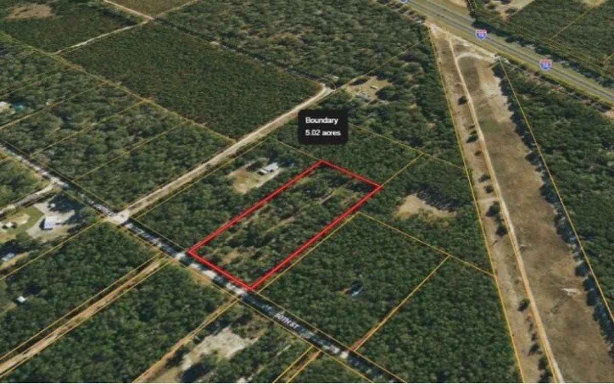 Picture of Residential Land For Sale in Live Oak, Florida, United States
