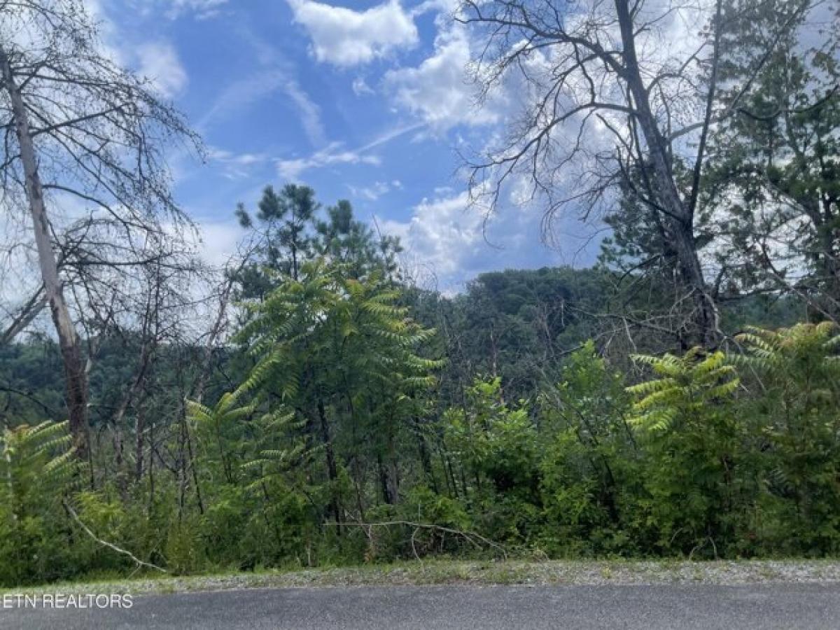 Picture of Residential Land For Sale in Sevierville, Tennessee, United States