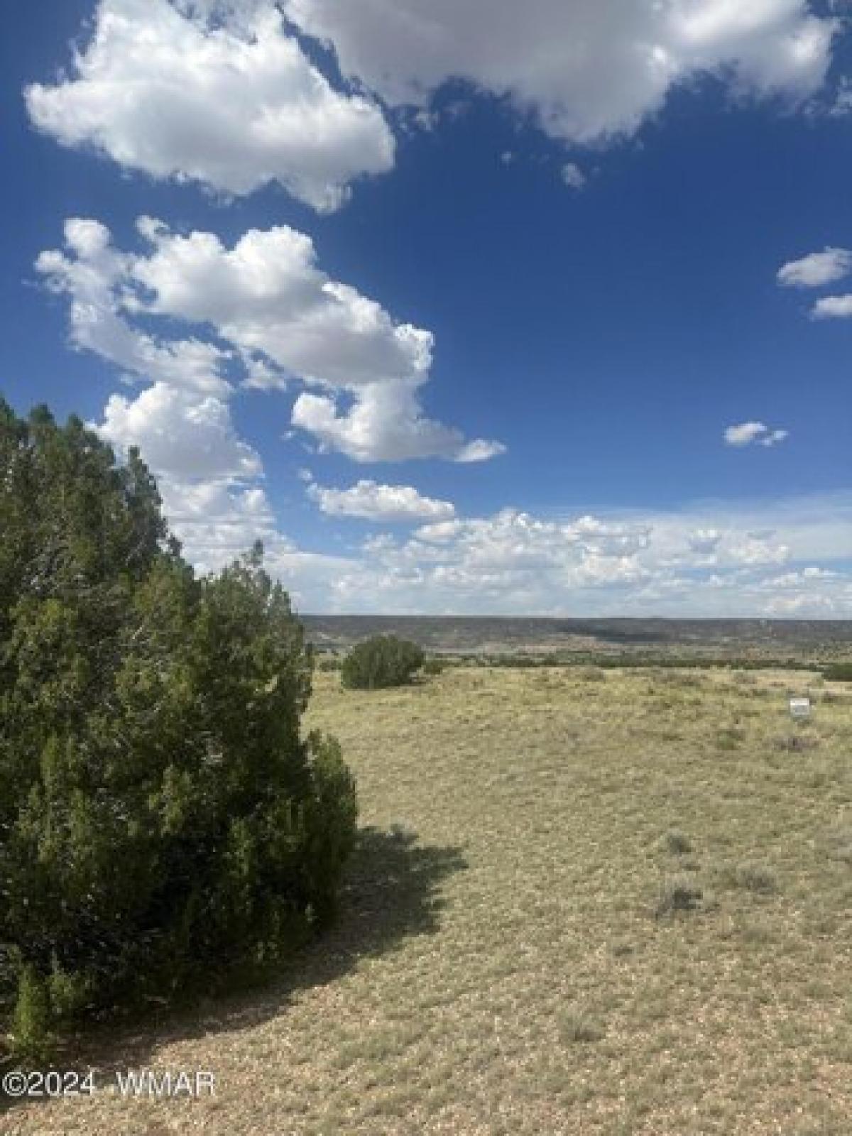 Picture of Residential Land For Rent in Saint Johns, Arizona, United States