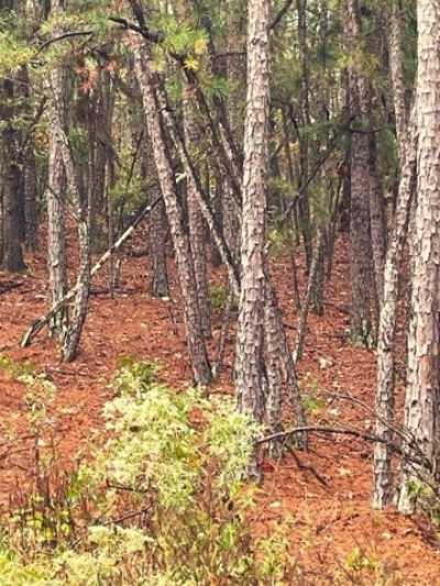 Residential Land For Sale in Broken Bow, Oklahoma