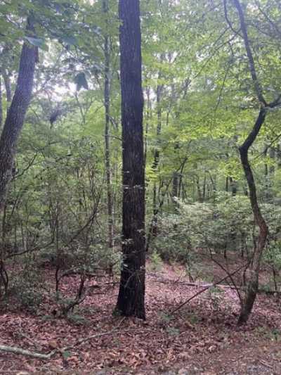 Residential Land For Sale in Ellijay, Georgia