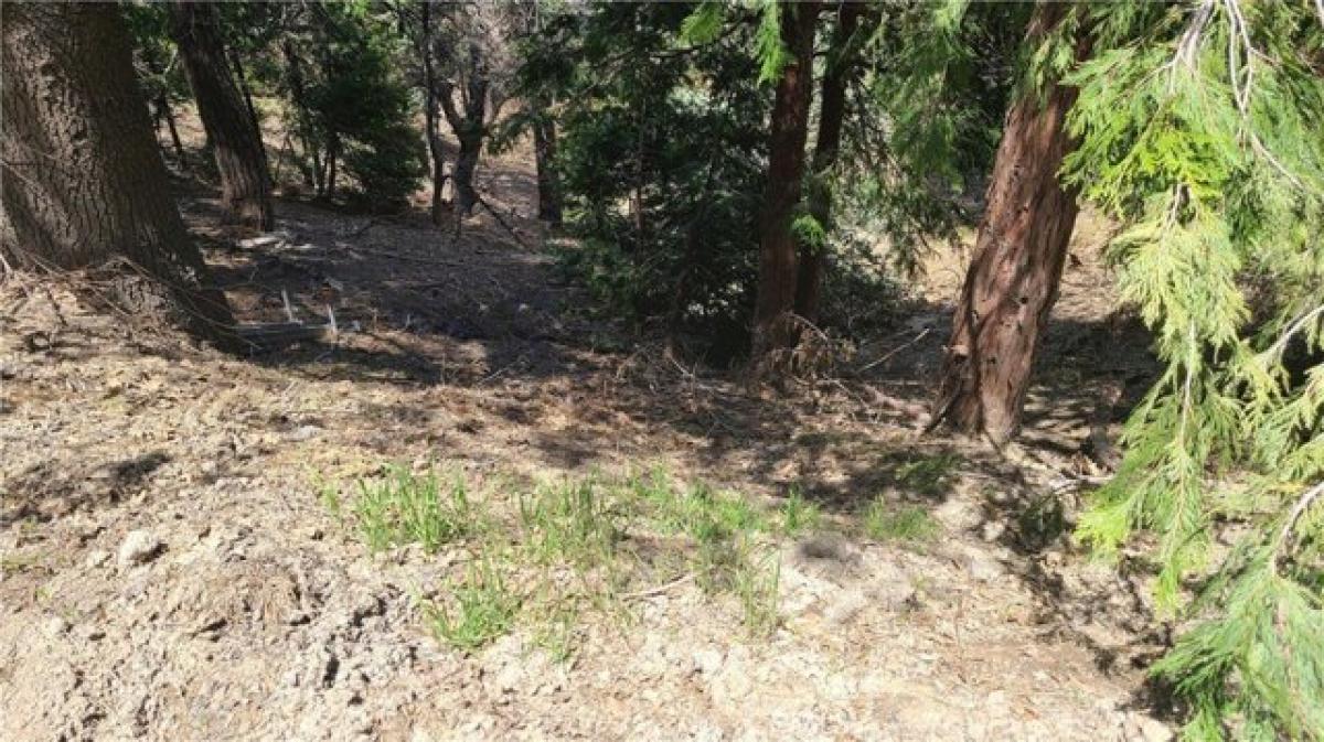 Picture of Residential Land For Rent in Cedar Glen, California, United States
