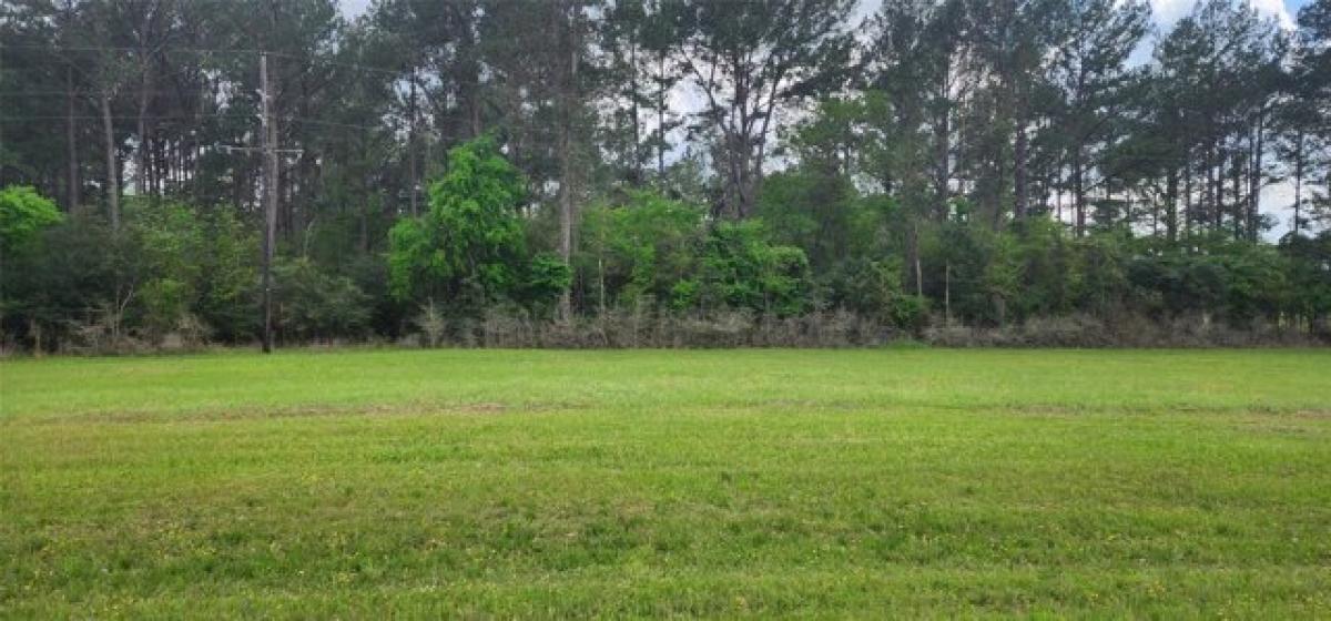 Picture of Residential Land For Rent in Trinity, Texas, United States