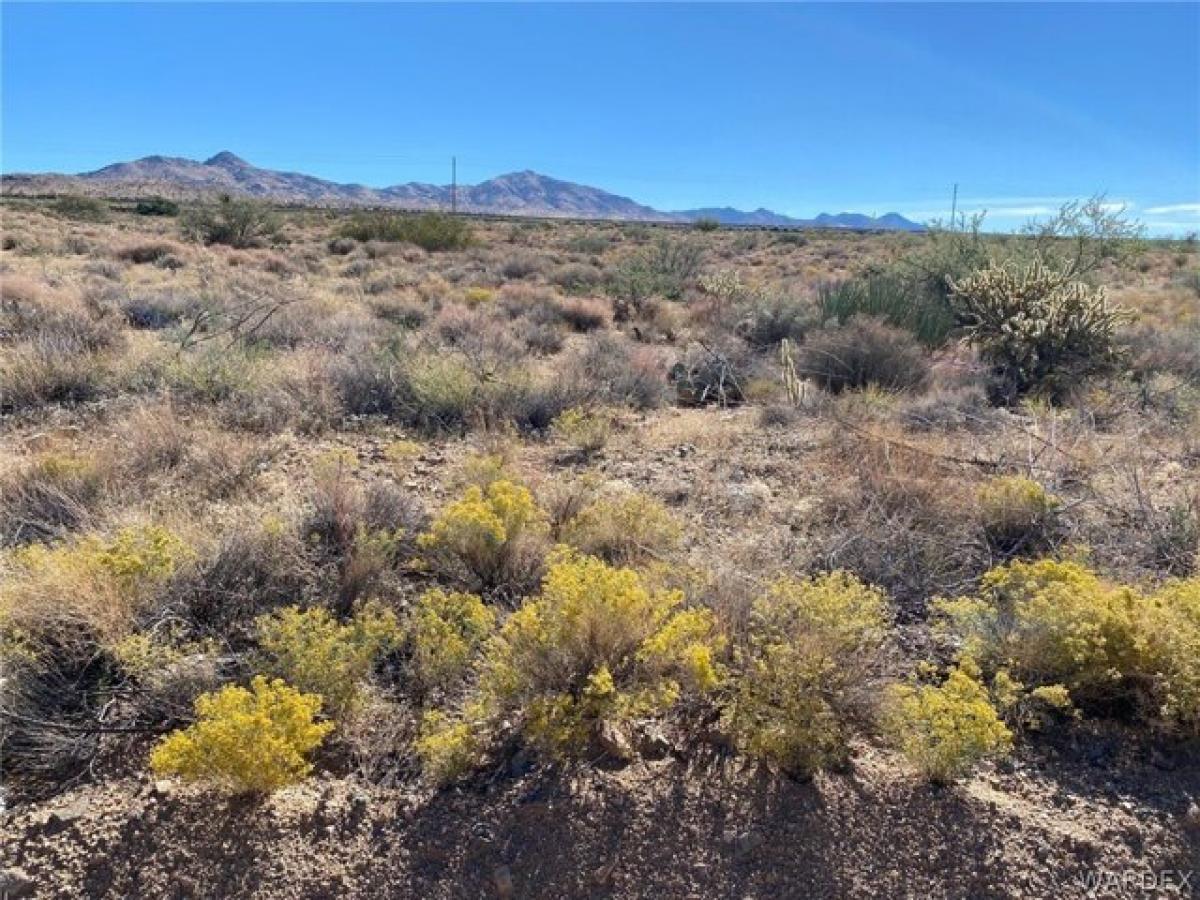 Picture of Residential Land For Sale in Kingman, Arizona, United States