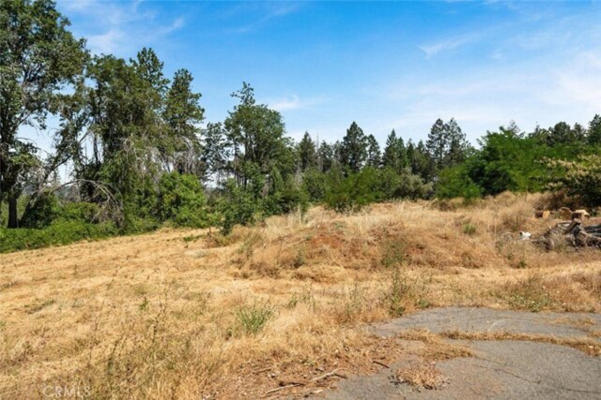 Picture of Residential Land For Sale in Paradise, California, United States