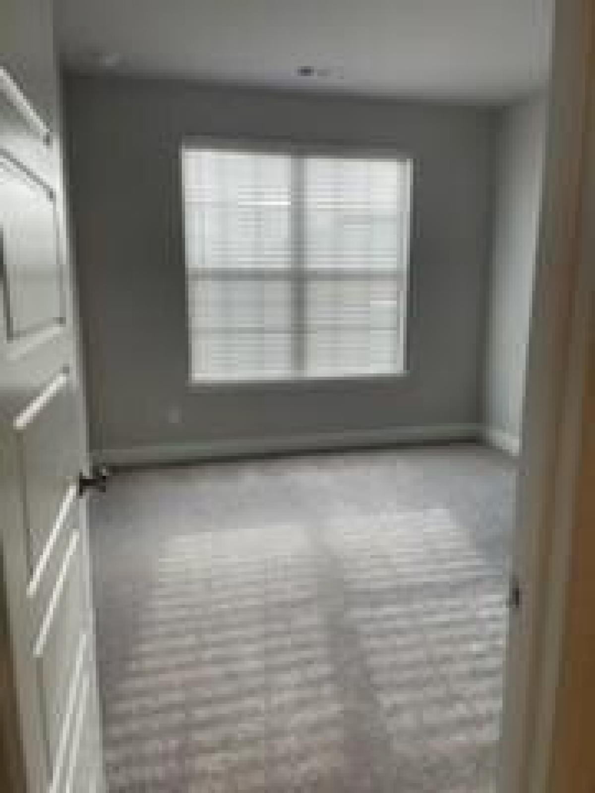 Picture of Home For Rent in Melissa, Texas, United States