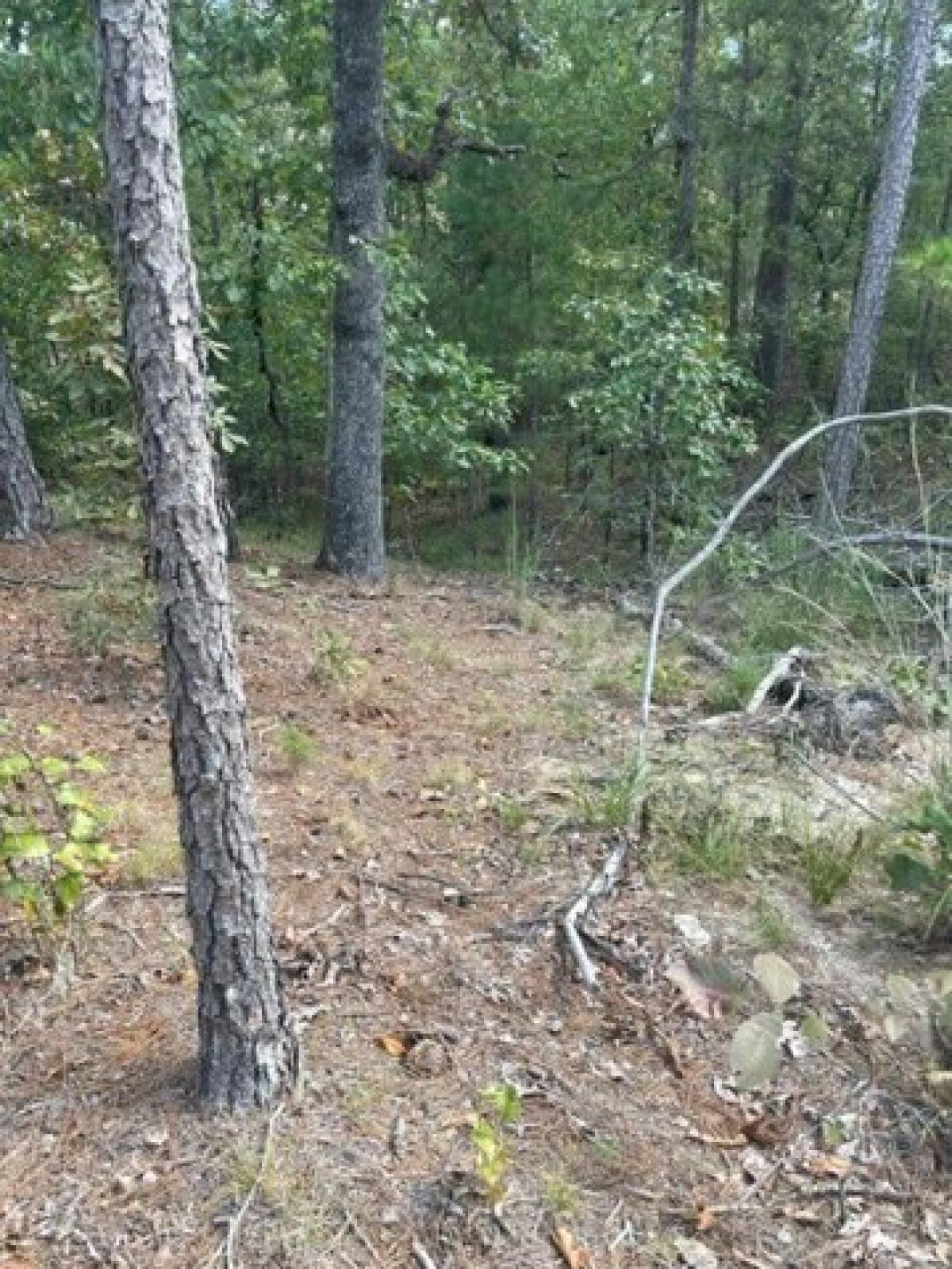 Picture of Residential Land For Sale in Broken Bow, Oklahoma, United States