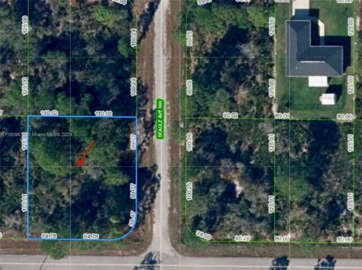 Picture of Residential Land For Sale in Lake Placid, Florida, United States
