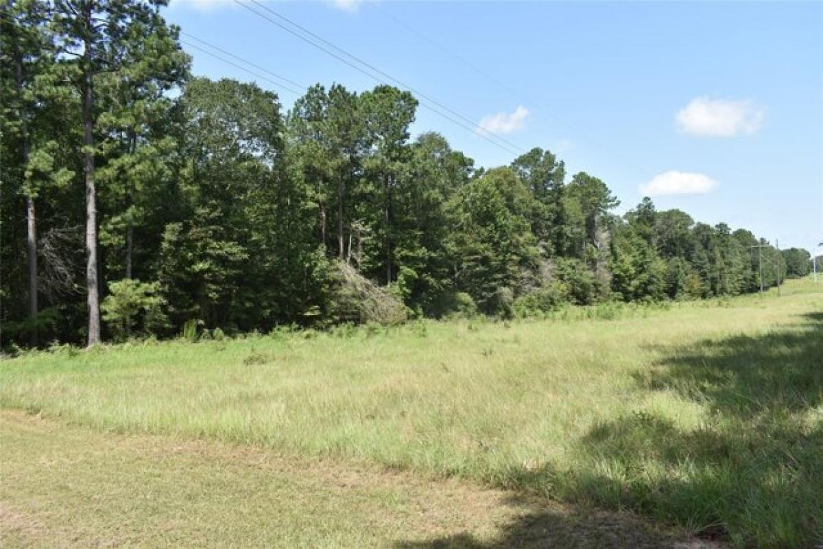 Picture of Residential Land For Sale in Livingston, Texas, United States