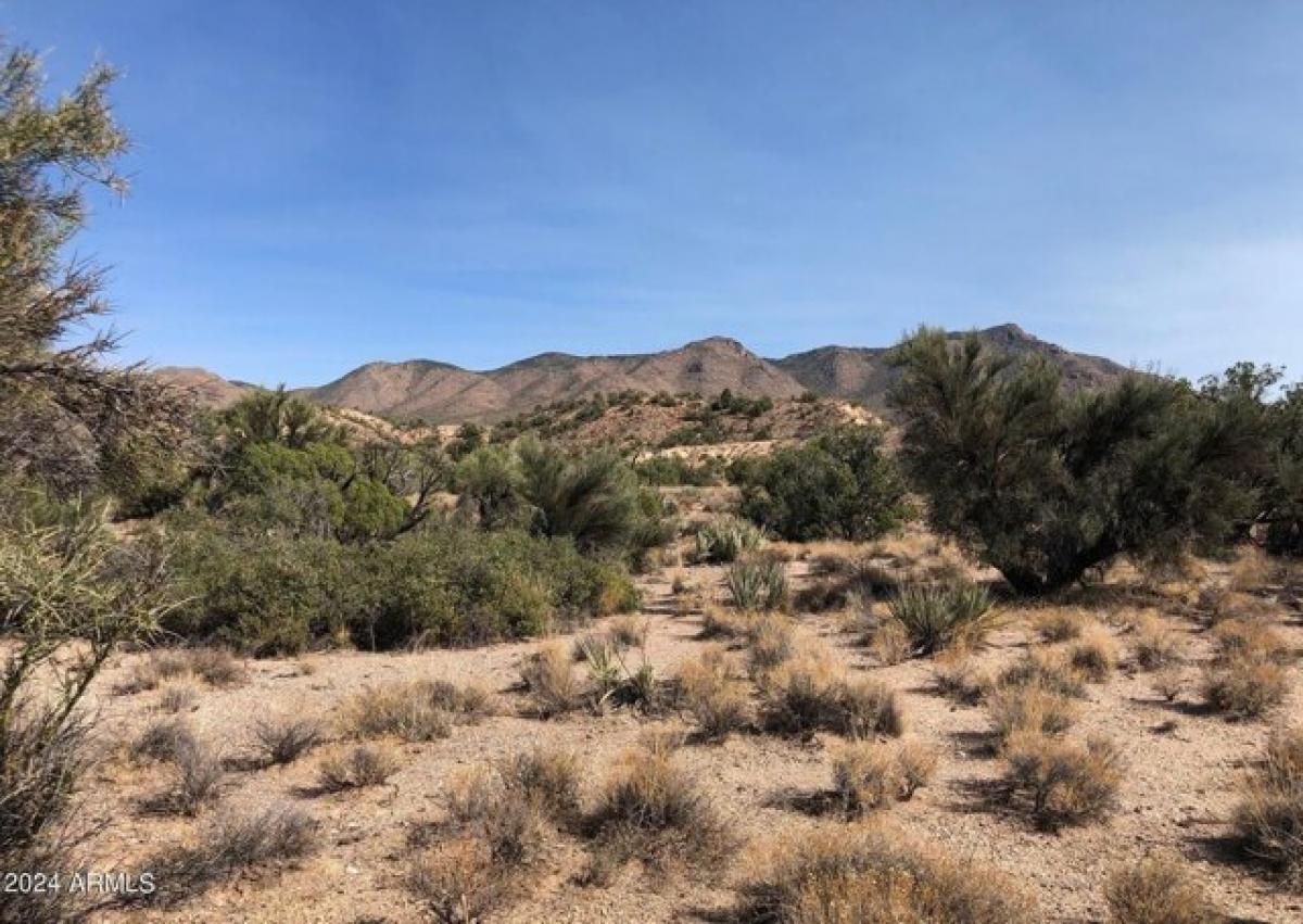 Picture of Residential Land For Sale in Kingman, Arizona, United States