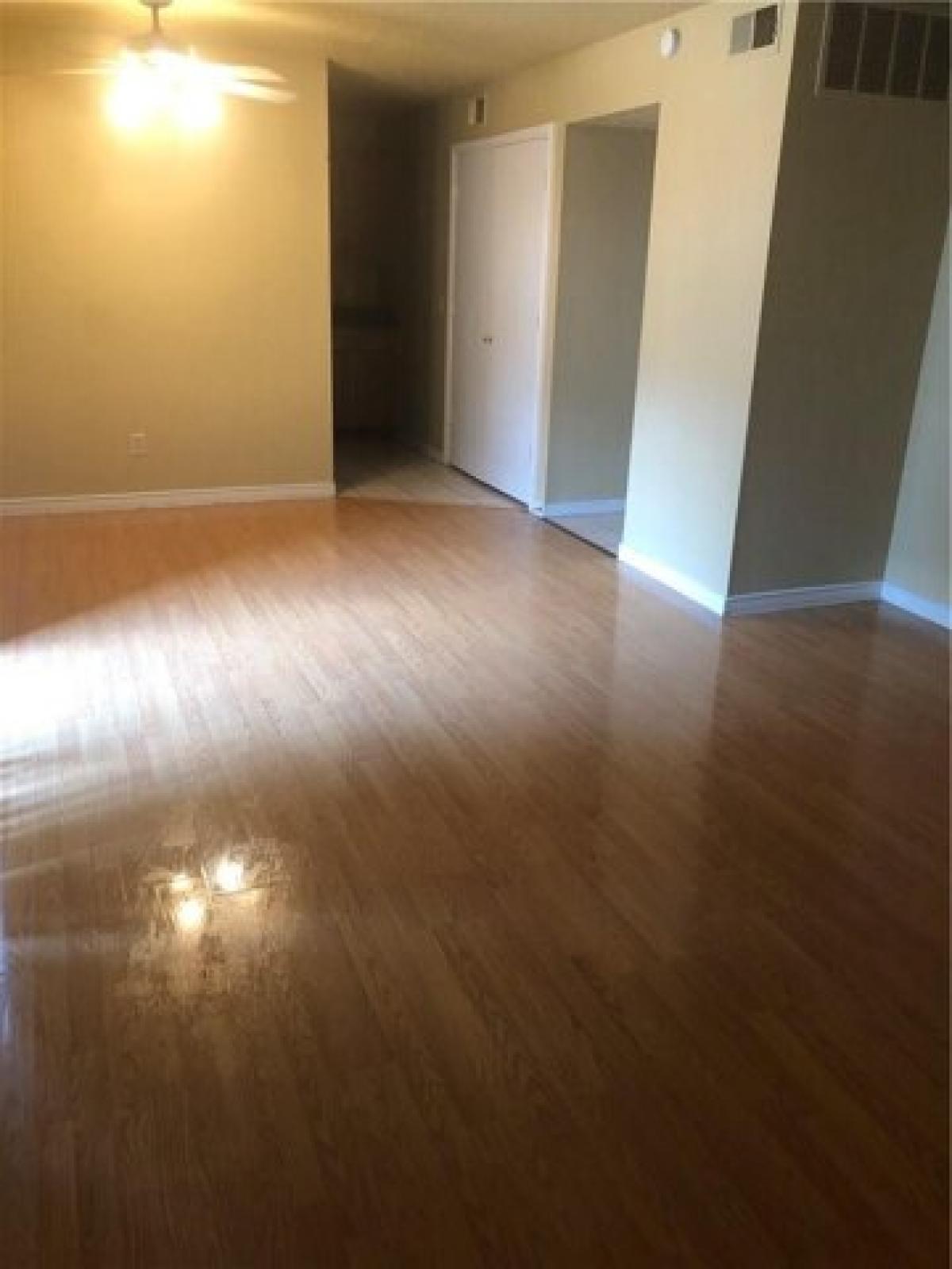 Picture of Home For Rent in Frisco, Texas, United States