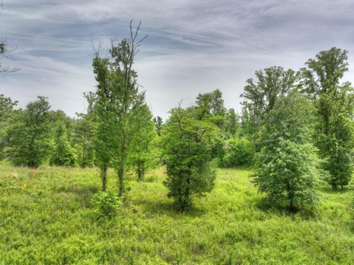 Picture of Residential Land For Sale in Blue Ridge, Georgia, United States