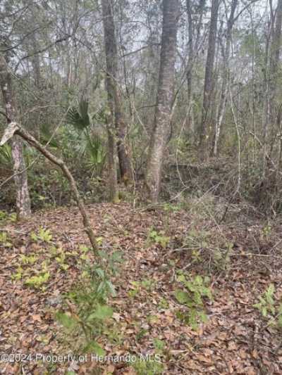 Residential Land For Sale in Weeki Wachee, Florida