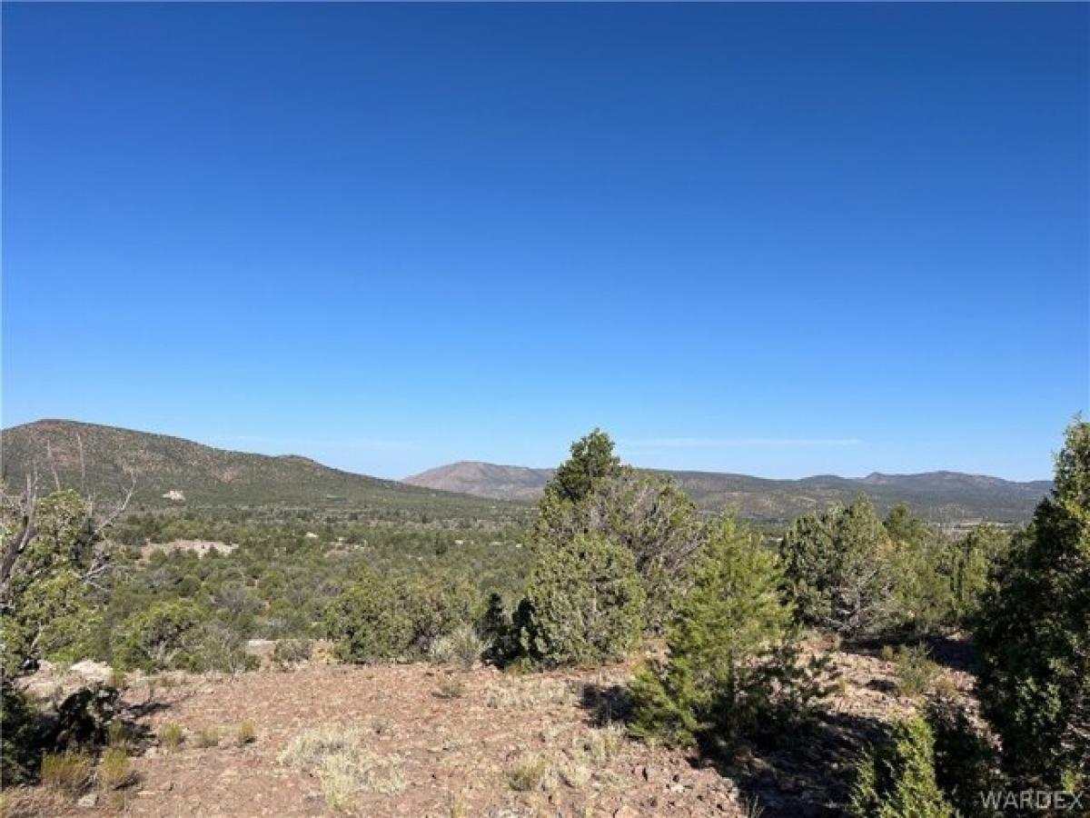 Picture of Residential Land For Sale in Kingman, Arizona, United States