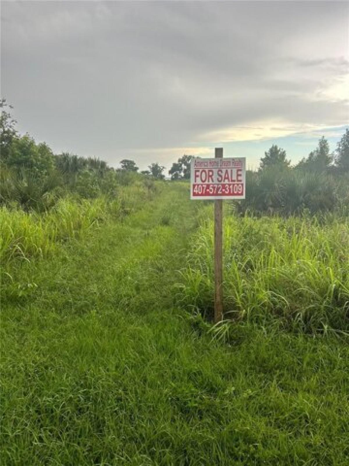 Picture of Residential Land For Sale in Oviedo, Florida, United States