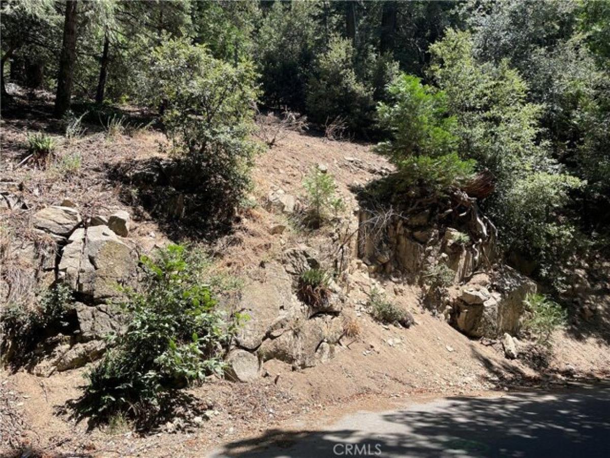 Picture of Residential Land For Rent in Crestline, California, United States