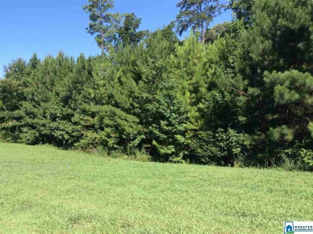Picture of Residential Land For Sale in Birmingham, Alabama, United States