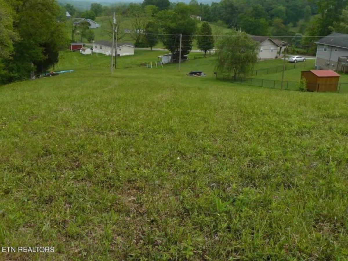 Picture of Residential Land For Sale in Tazewell, Tennessee, United States