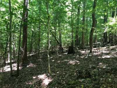 Residential Land For Sale in Jasper, Tennessee