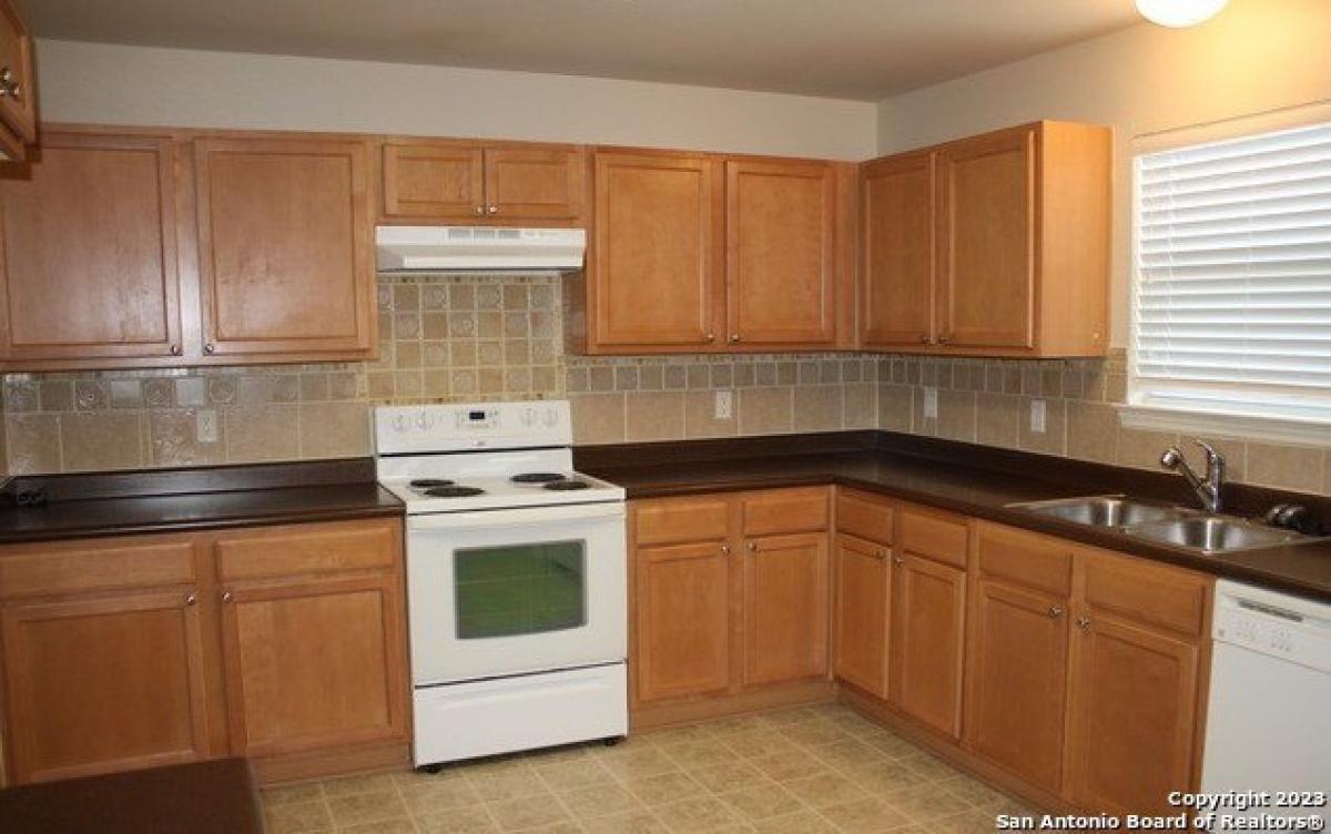 Picture of Home For Rent in New Braunfels, Texas, United States