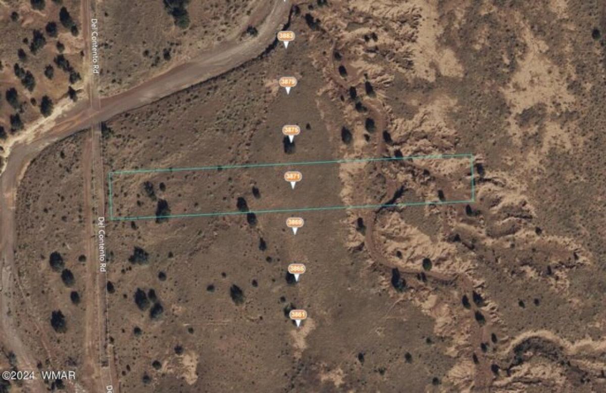 Picture of Residential Land For Rent in Snowflake, Arizona, United States