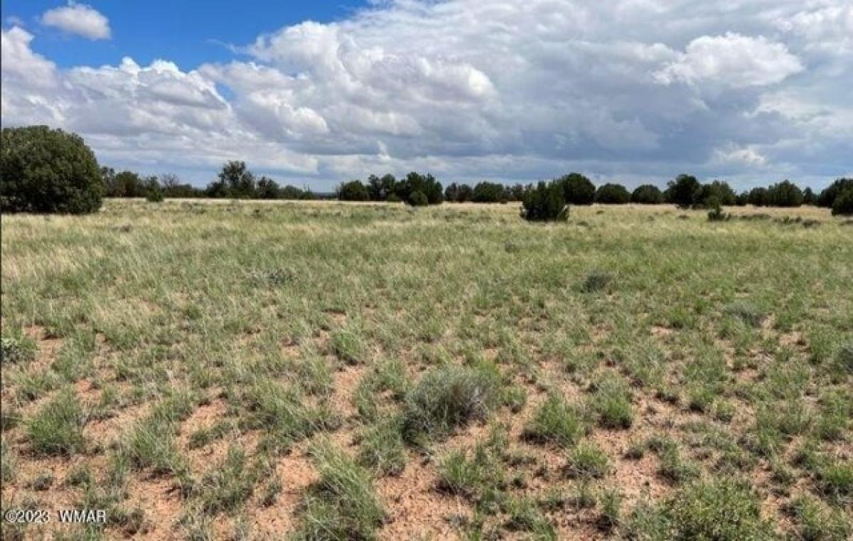 Picture of Residential Land For Sale in Concho, Arizona, United States