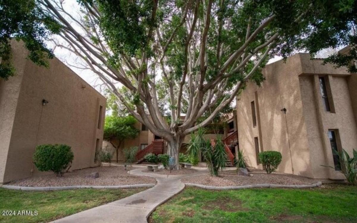 Picture of Apartment For Rent in Phoenix, Arizona, United States