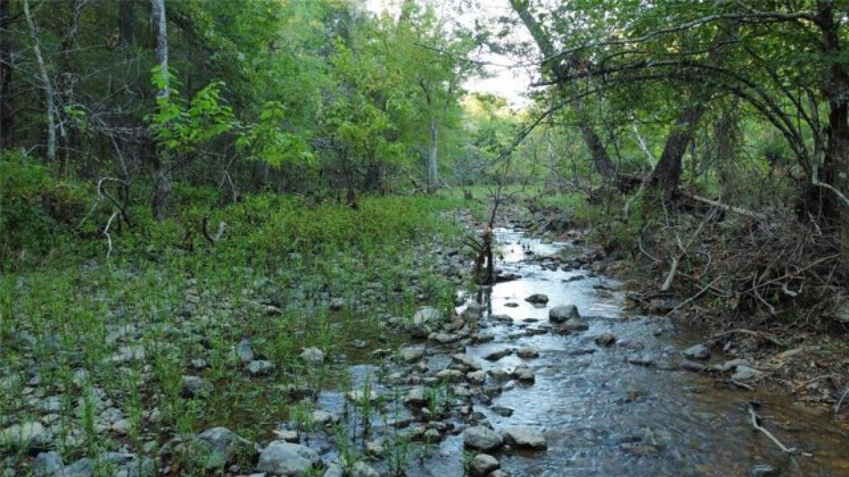 Picture of Residential Land For Sale in Broken Bow, Oklahoma, United States