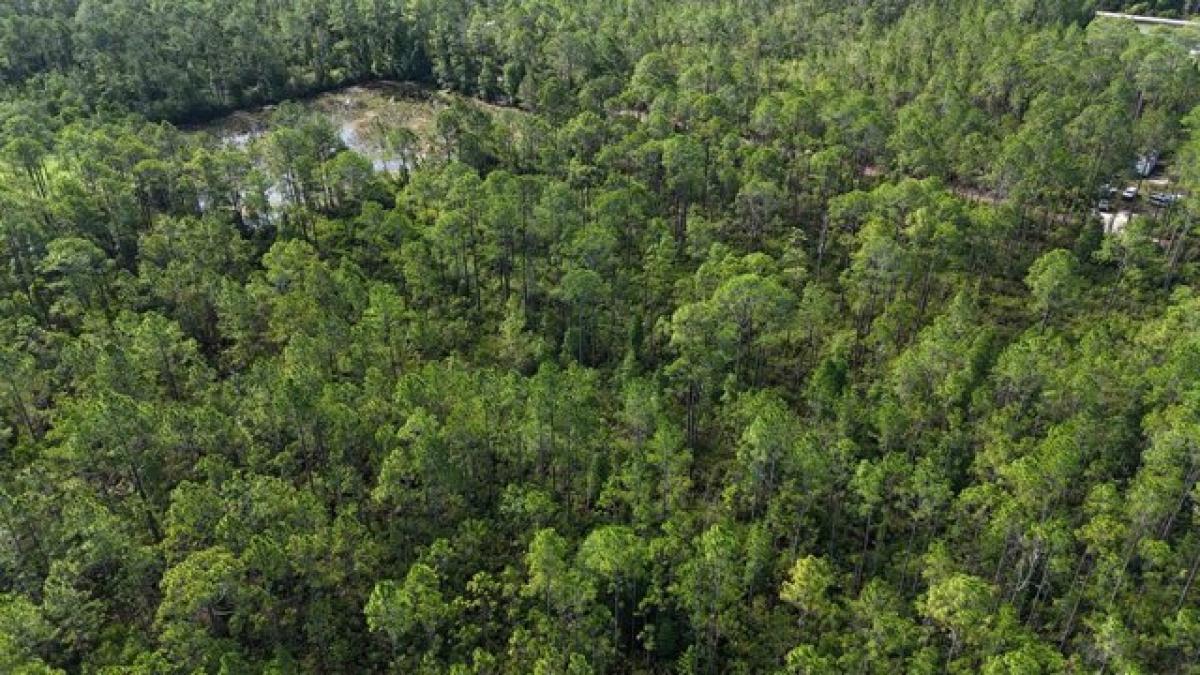 Picture of Residential Land For Sale in Palatka, Florida, United States