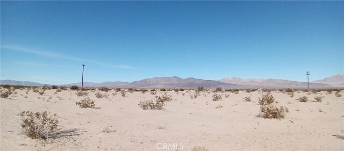 Picture of Residential Land For Sale in Twentynine Palms, California, United States