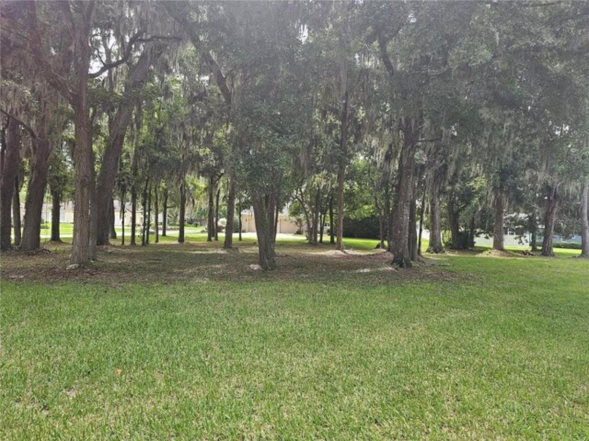 Picture of Residential Land For Sale in Ocala, Florida, United States
