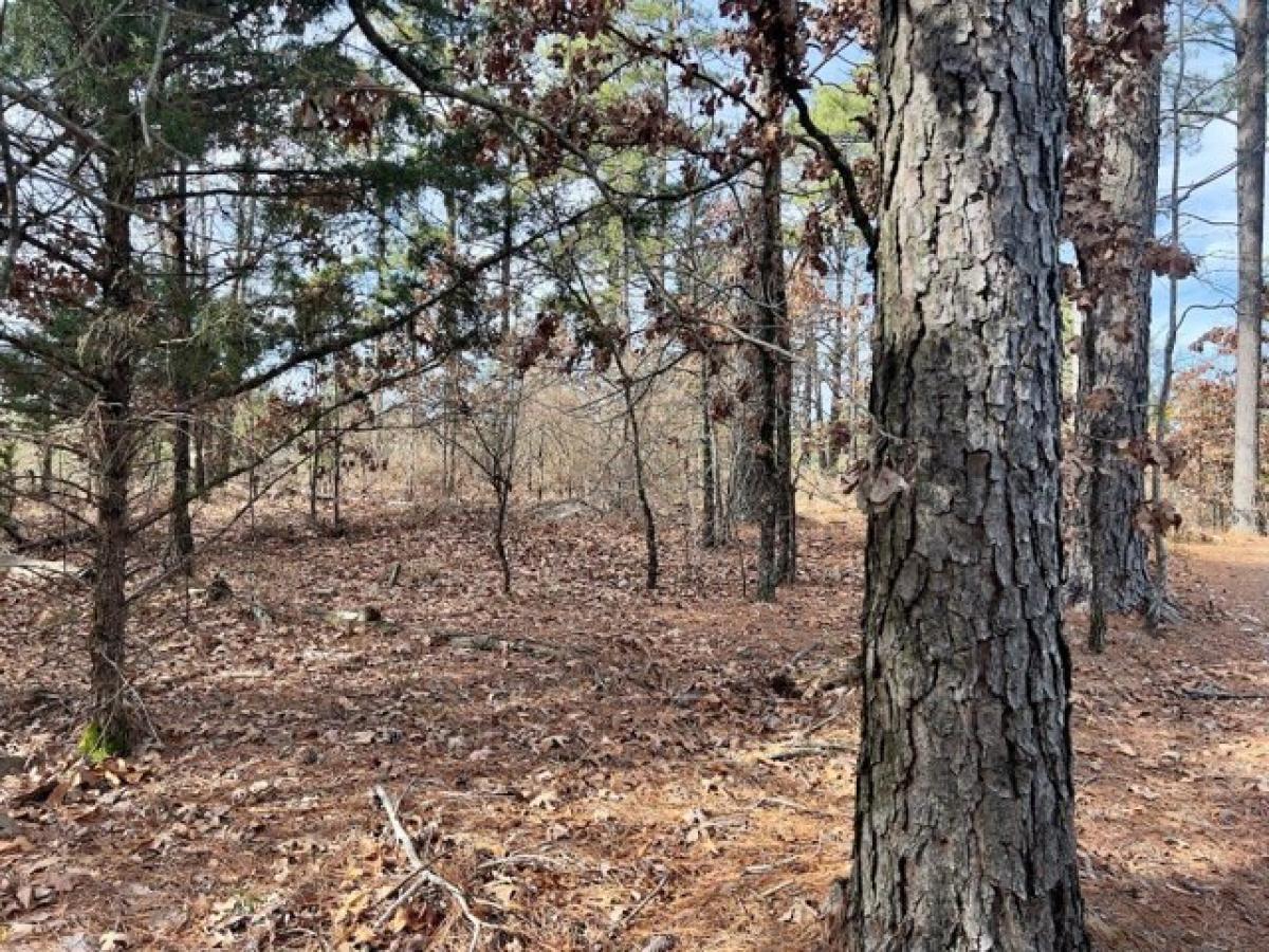 Picture of Residential Land For Sale in Broken Bow, Oklahoma, United States