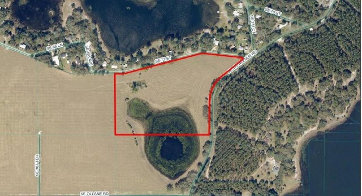 Picture of Residential Land For Sale in Ocklawaha, Florida, United States