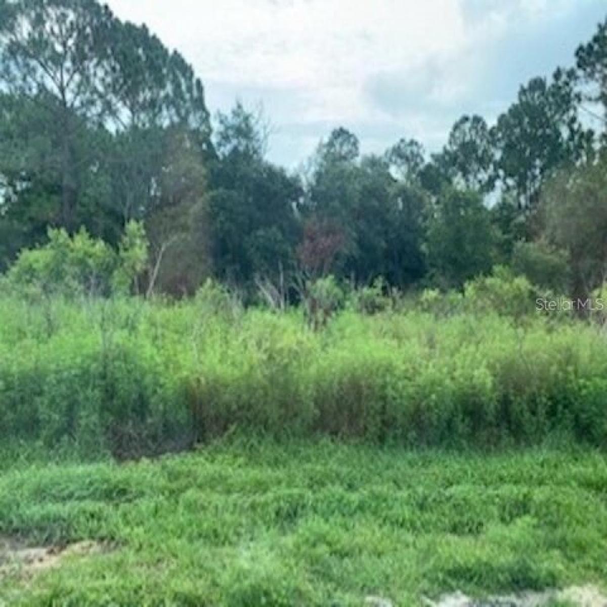 Picture of Residential Land For Sale in Kissimmee, Florida, United States