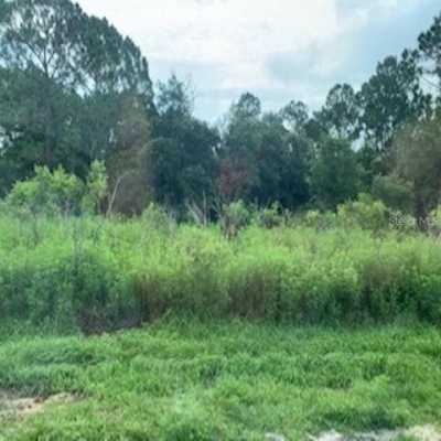 Residential Land For Sale in Kissimmee, Florida
