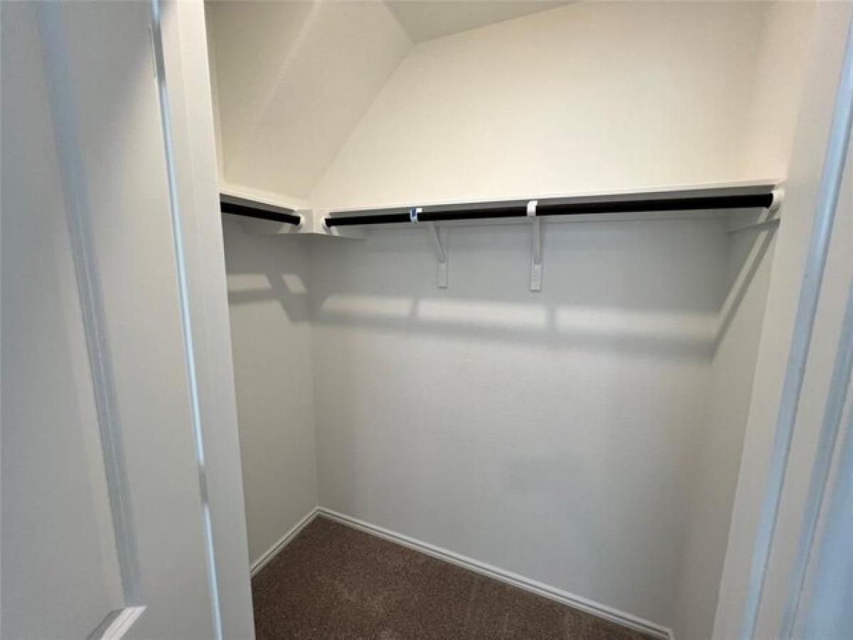 Picture of Home For Rent in Georgetown, Texas, United States