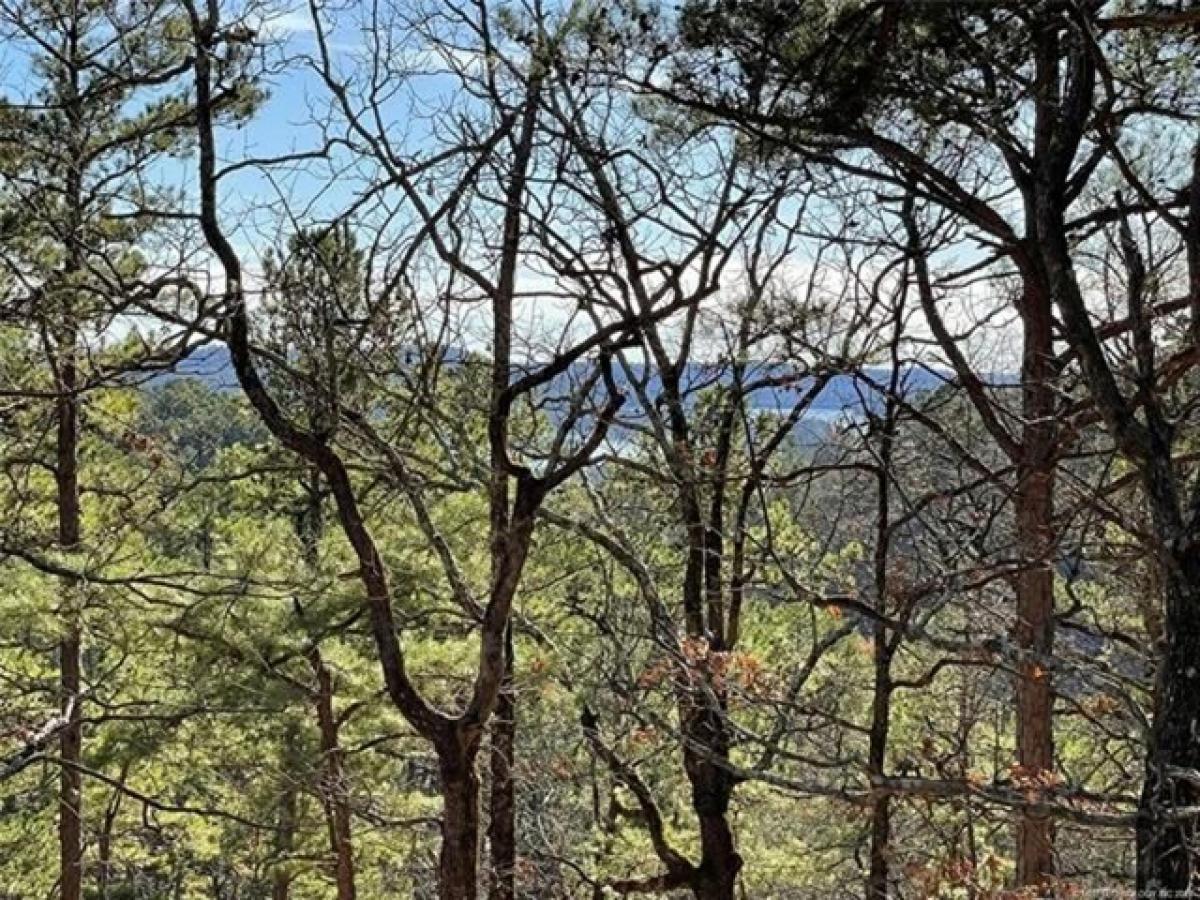 Picture of Residential Land For Sale in Broken Bow, Oklahoma, United States
