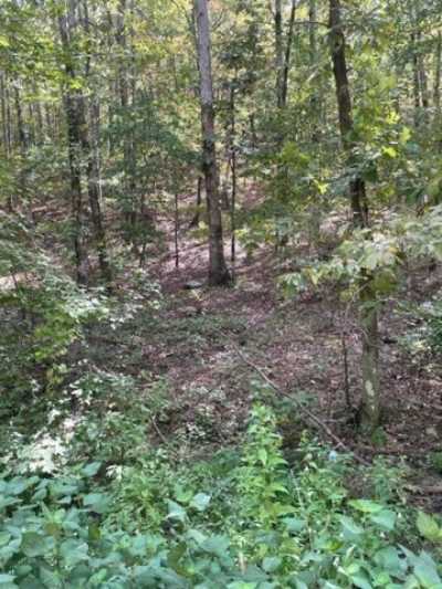 Residential Land For Sale in Broken Bow, Oklahoma