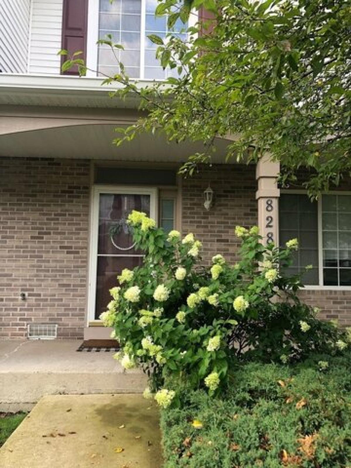 Picture of Home For Rent in Aurora, Illinois, United States