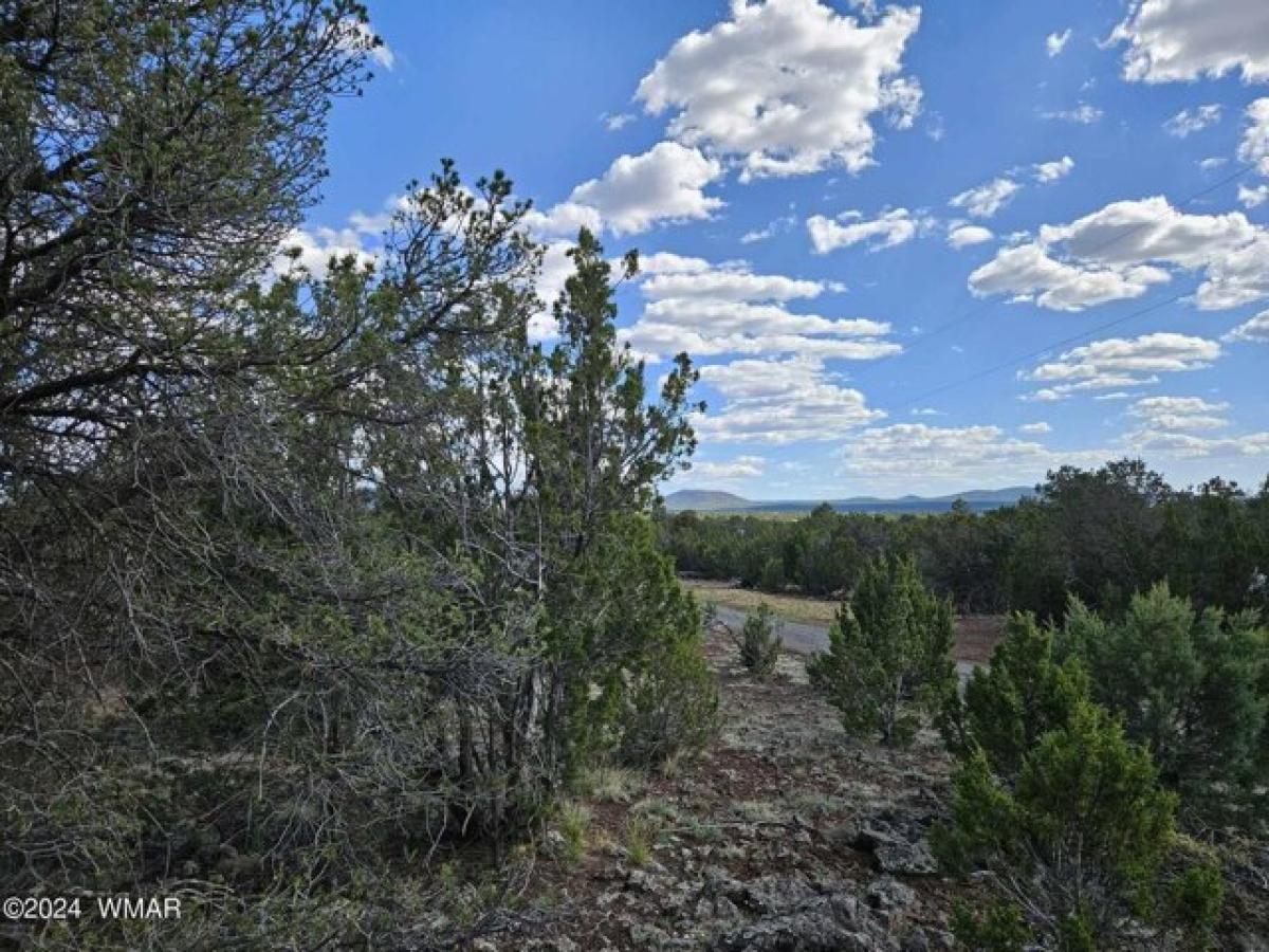 Picture of Residential Land For Sale in Vernon, Arizona, United States