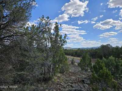 Residential Land For Sale in Vernon, Arizona