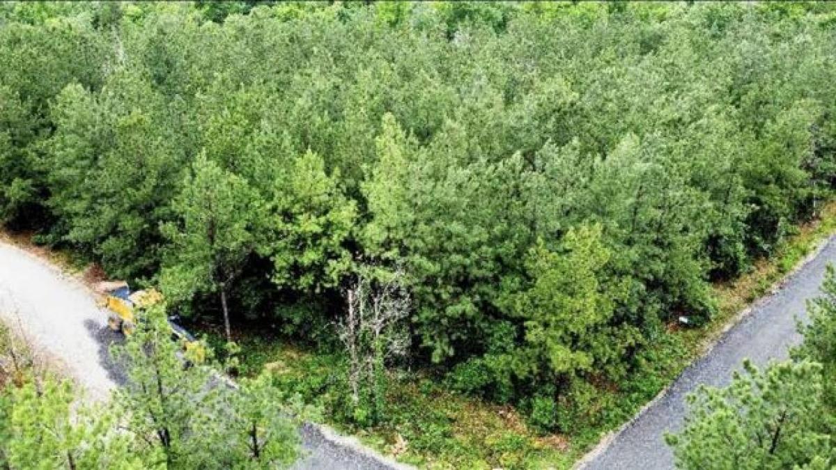 Picture of Residential Land For Sale in Broken Bow, Oklahoma, United States